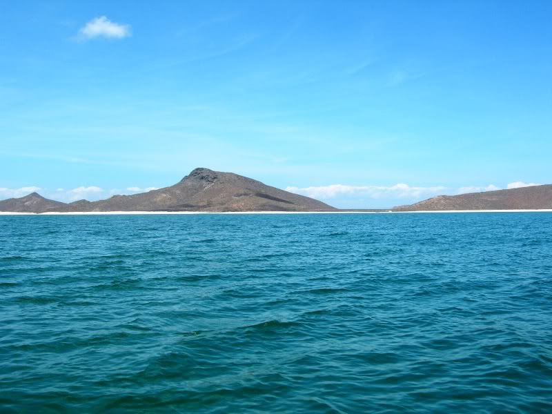 mex1133.jpg