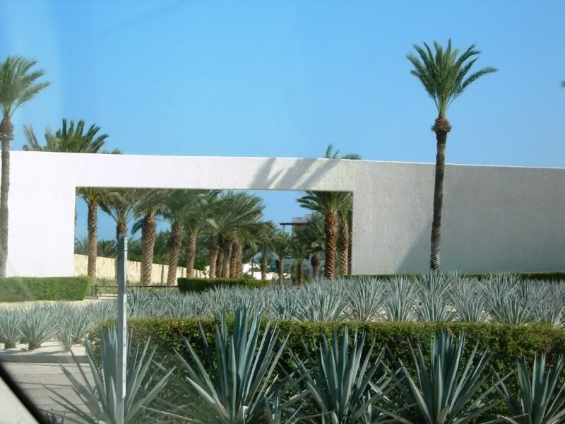 mex1398.jpg