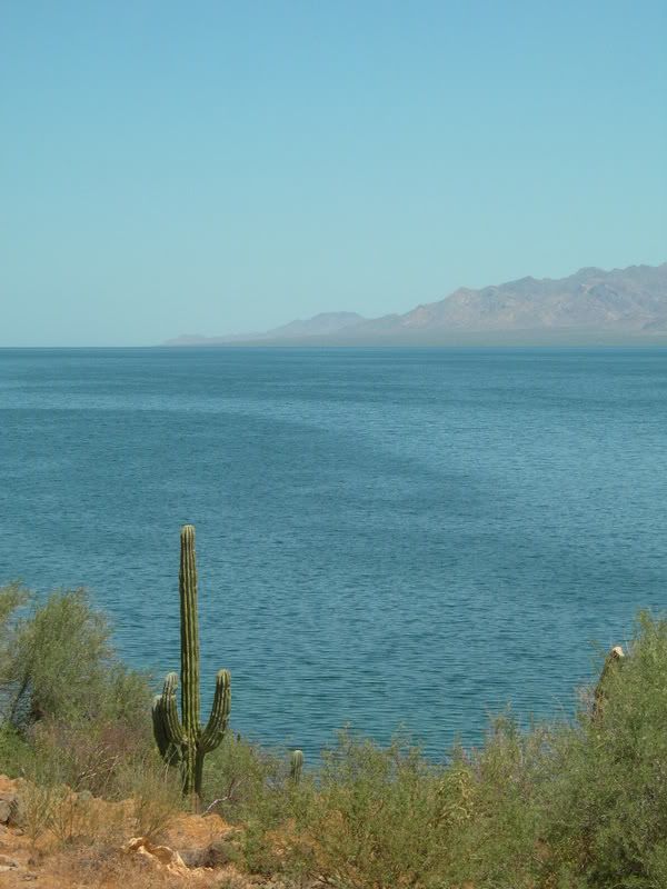 mex366.jpg