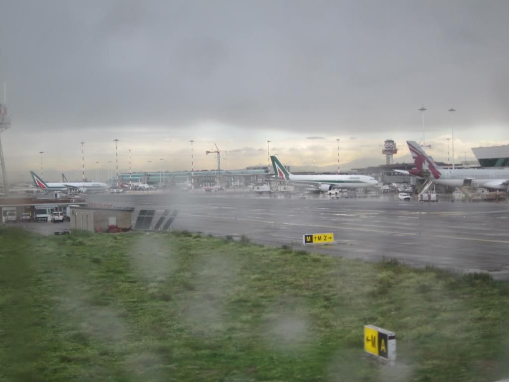 IMG_2575.jpg