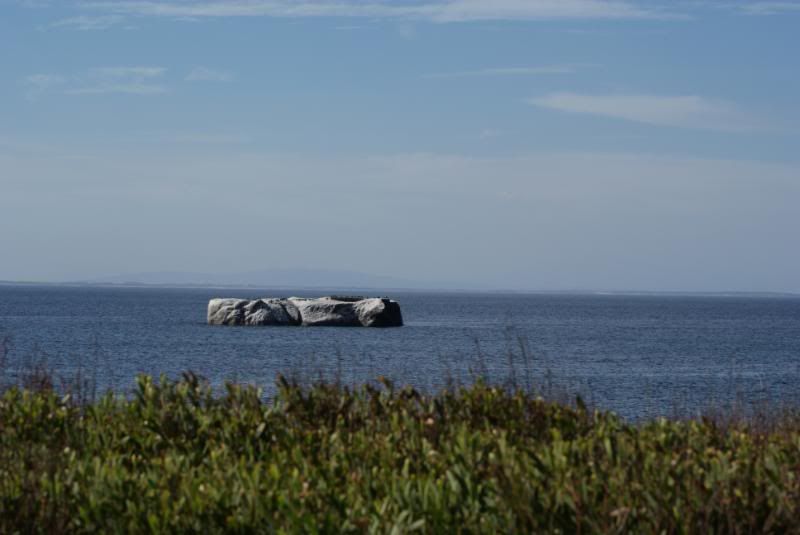DSC00331.jpg