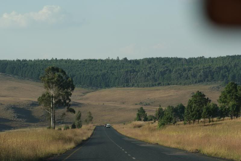 DSC00385.jpg