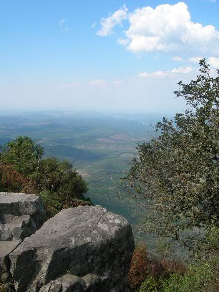 DSCN7709.jpg