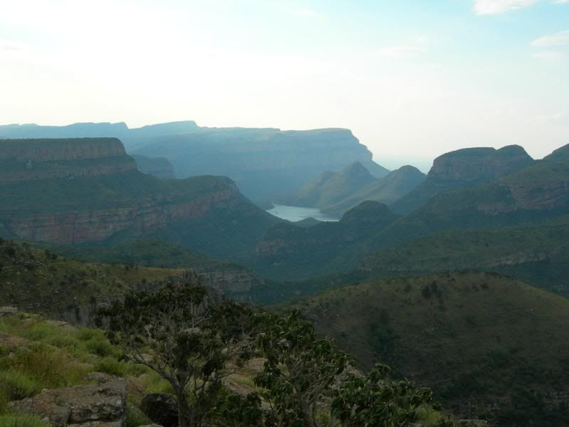 DSCN7768.jpg