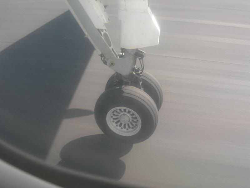 DSCN8055.jpg