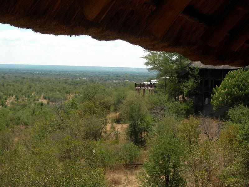 DSCN8097.jpg
