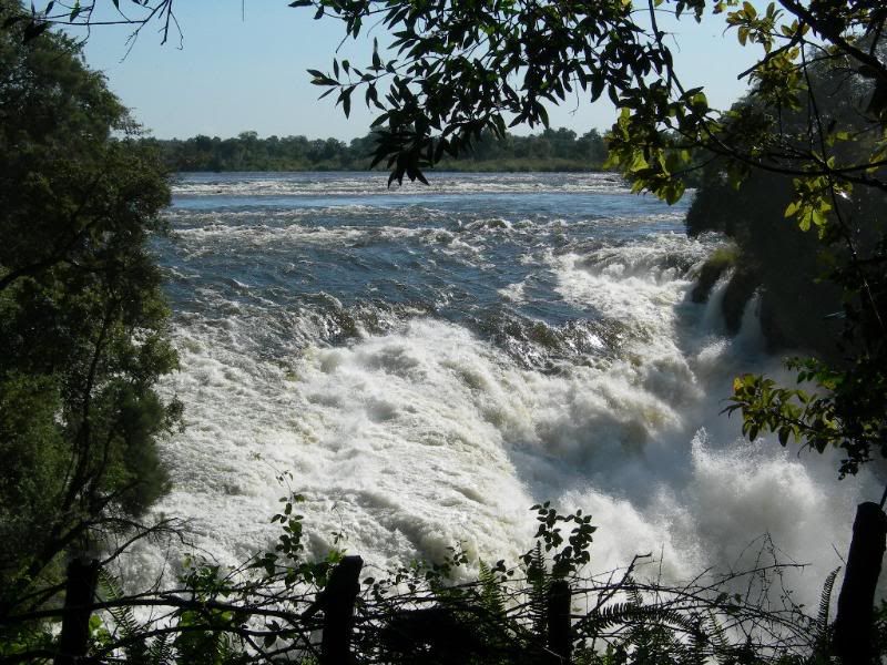 DSCN8258.jpg