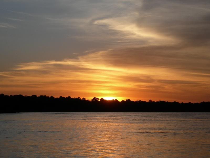 DSCN8422.jpg