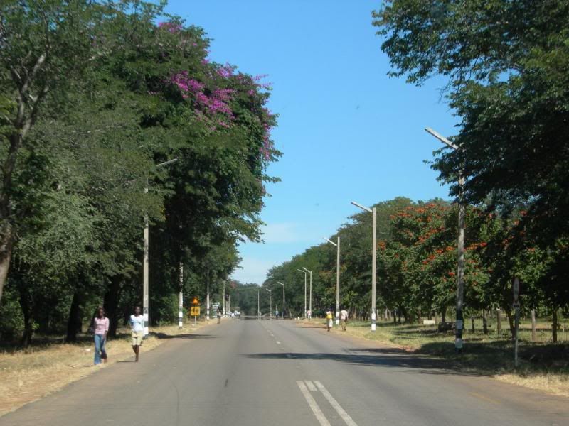 DSCN8439.jpg