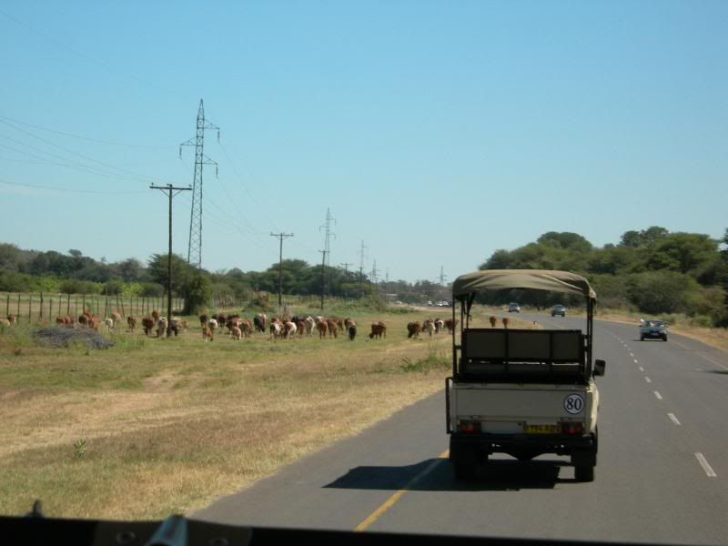 DSCN8471.jpg