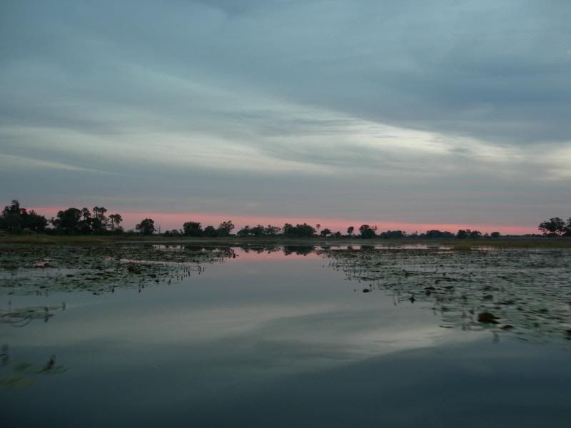 DSCN9070.jpg
