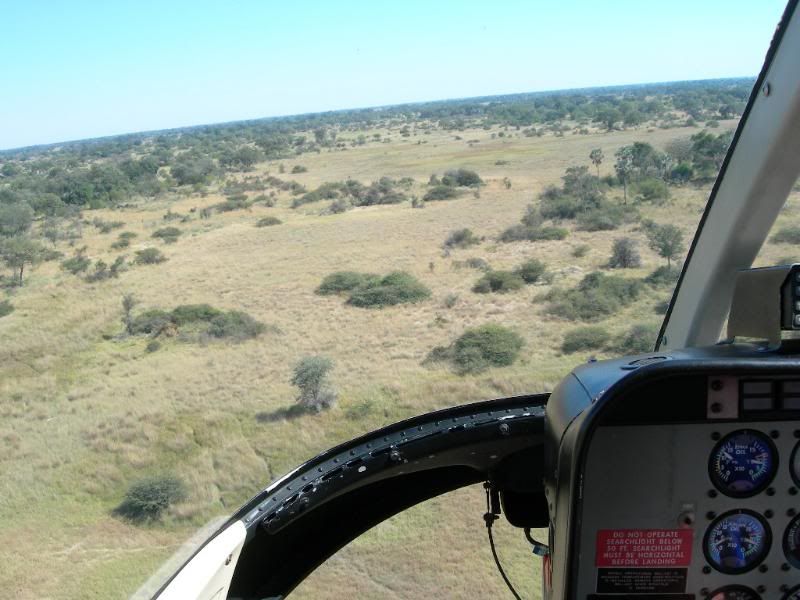 DSCN9186.jpg