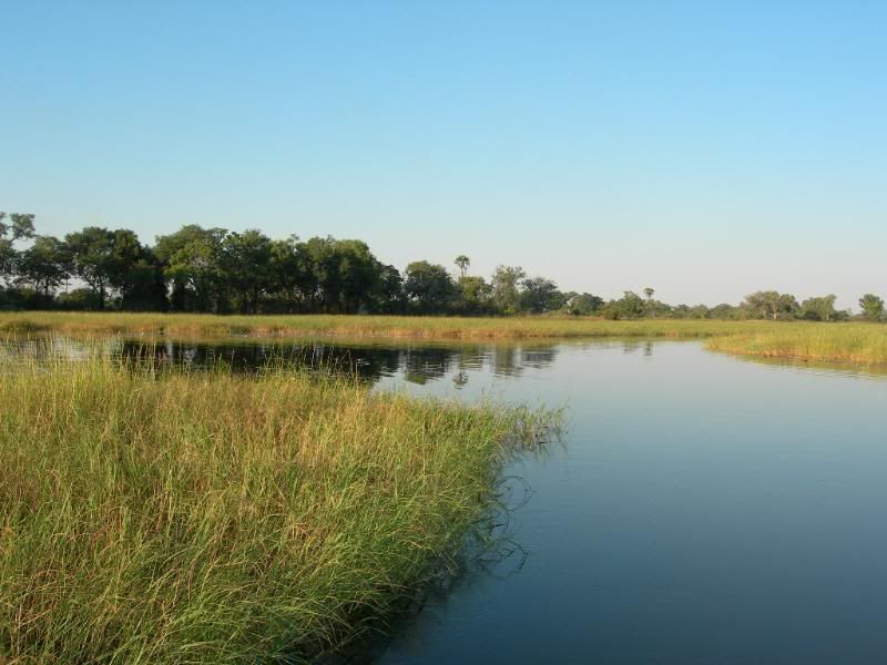 DSCN9268.jpg