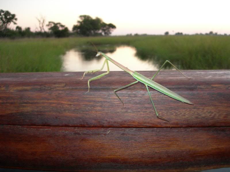 DSCN9310.jpg