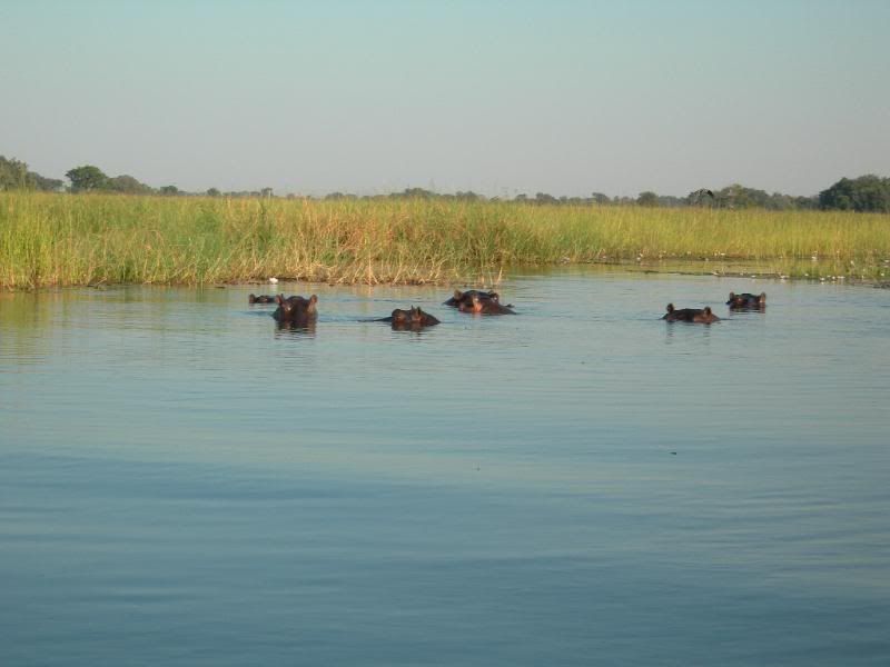DSCN9353.jpg