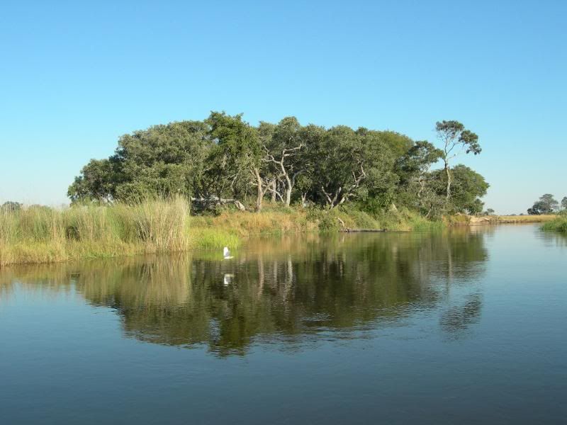 DSCN9370.jpg