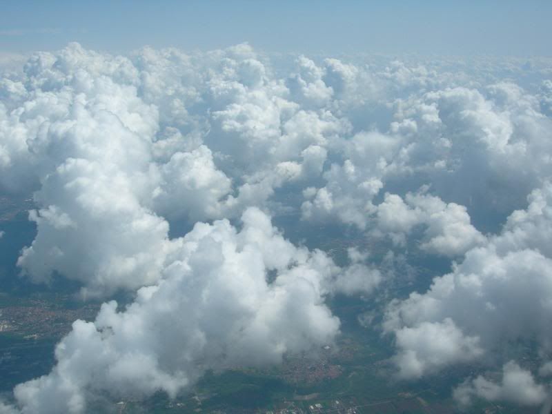 DSCN9509.jpg