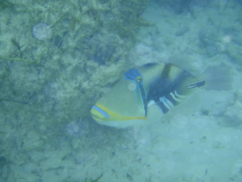 P1020321.jpg