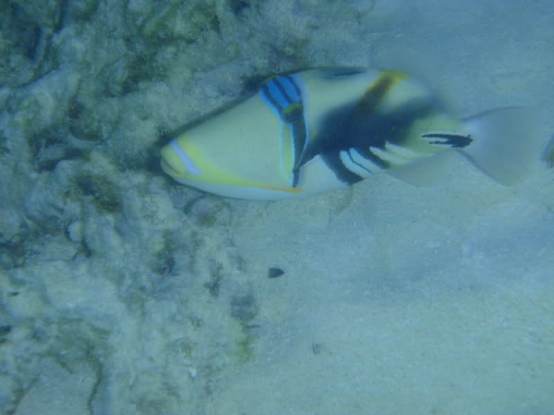 P1020360.jpg