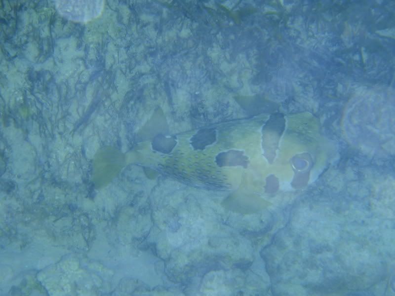 P1020363.jpg