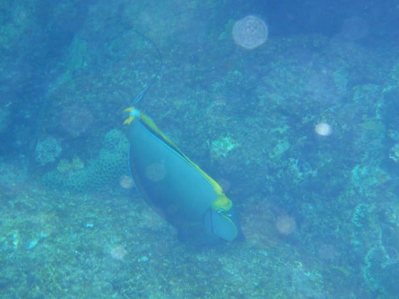 PC290088.jpg
