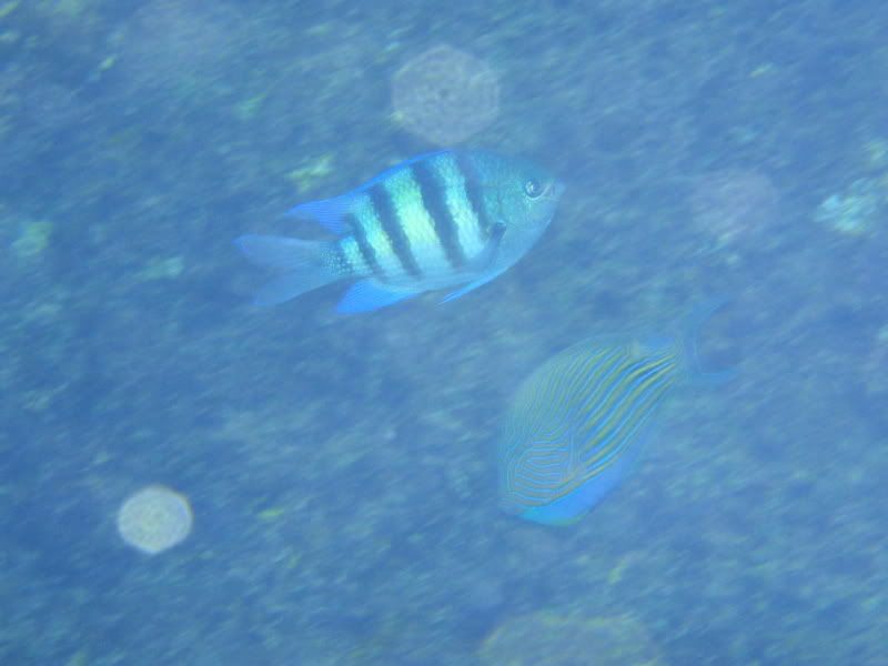 PC290109.jpg