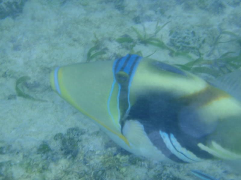 PC300190.jpg