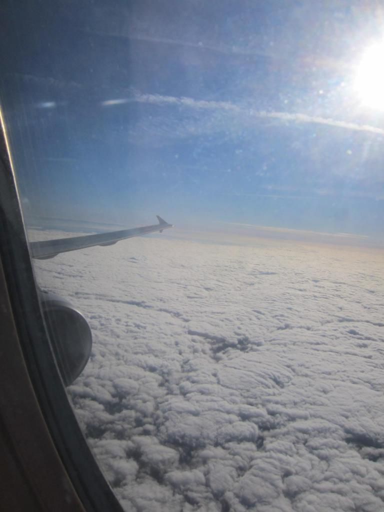 IMG_4058_zpsafb88ee4.jpg