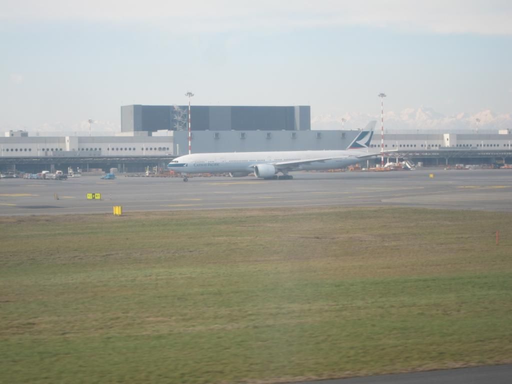 IMG_3803_zps62952bf1.jpg