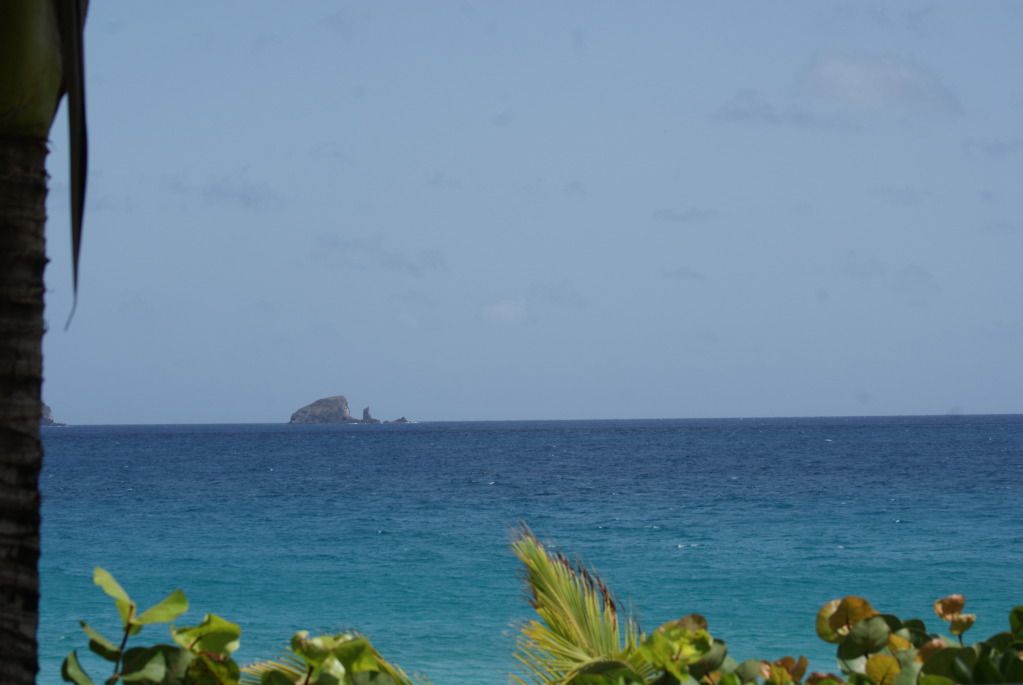 DSC03115.jpg