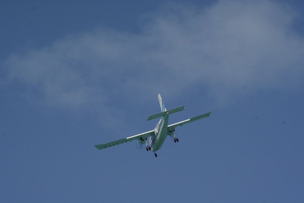 DSC03233.jpg