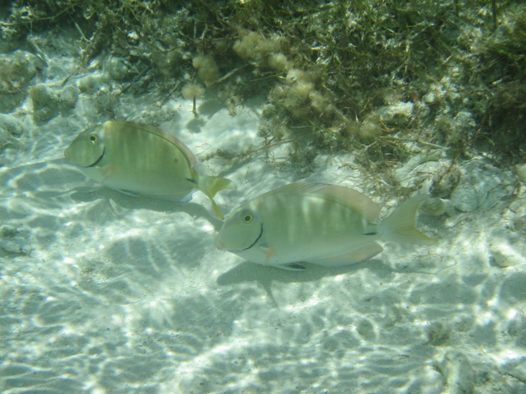 IMG_1439.jpg