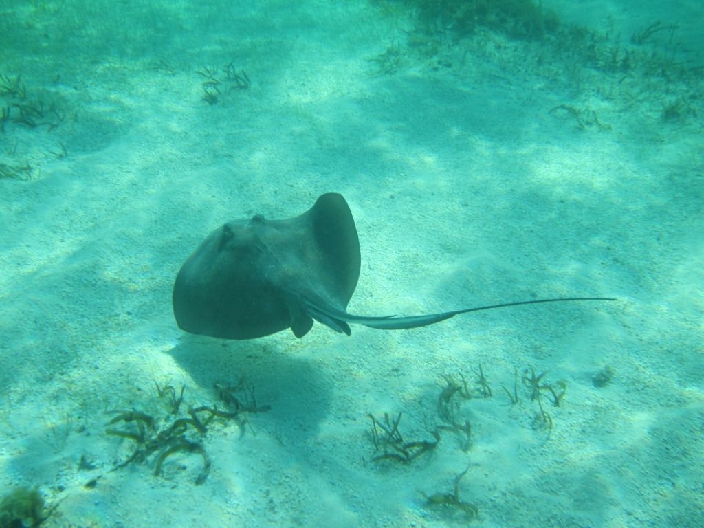 IMG_1562.jpg
