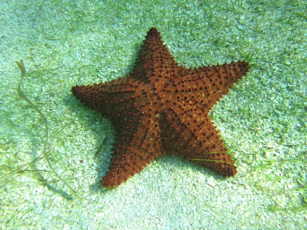 IMG_1568.jpg