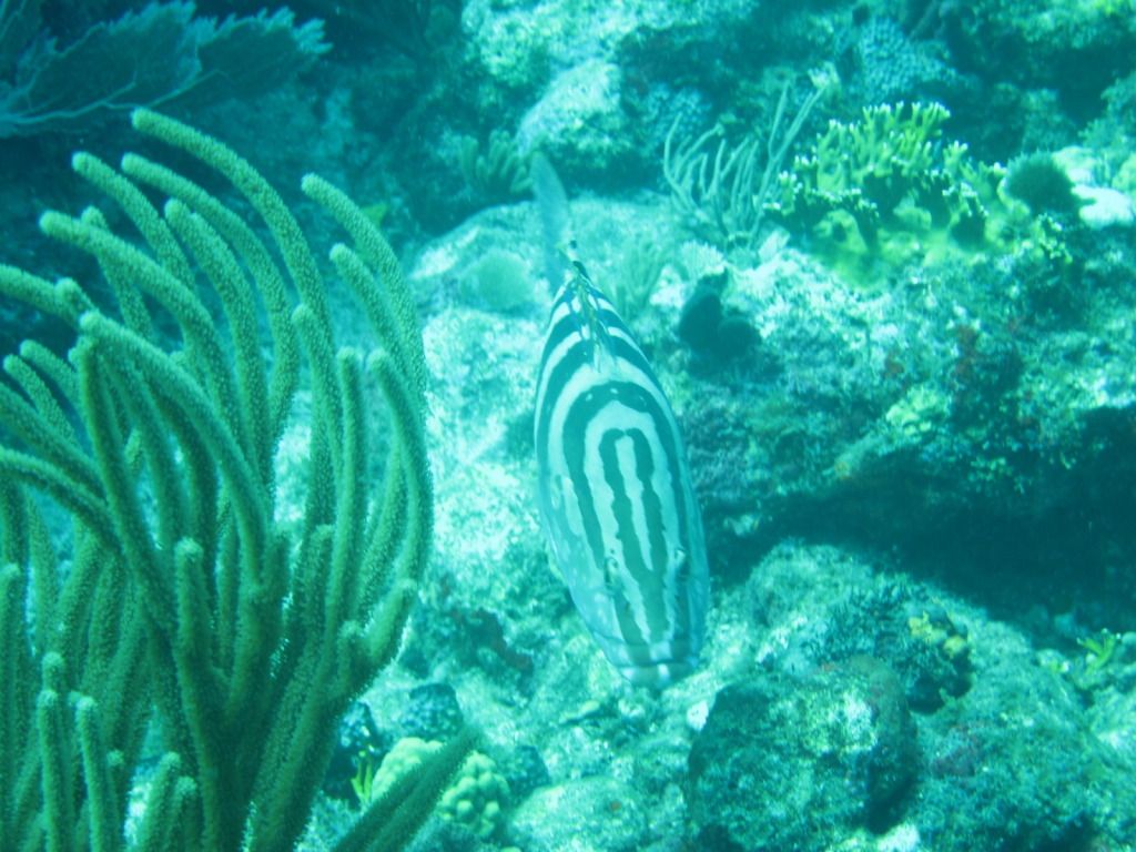 IMG_1761.jpg