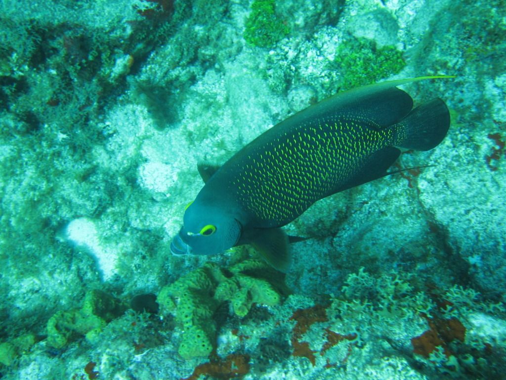 IMG_1772.jpg