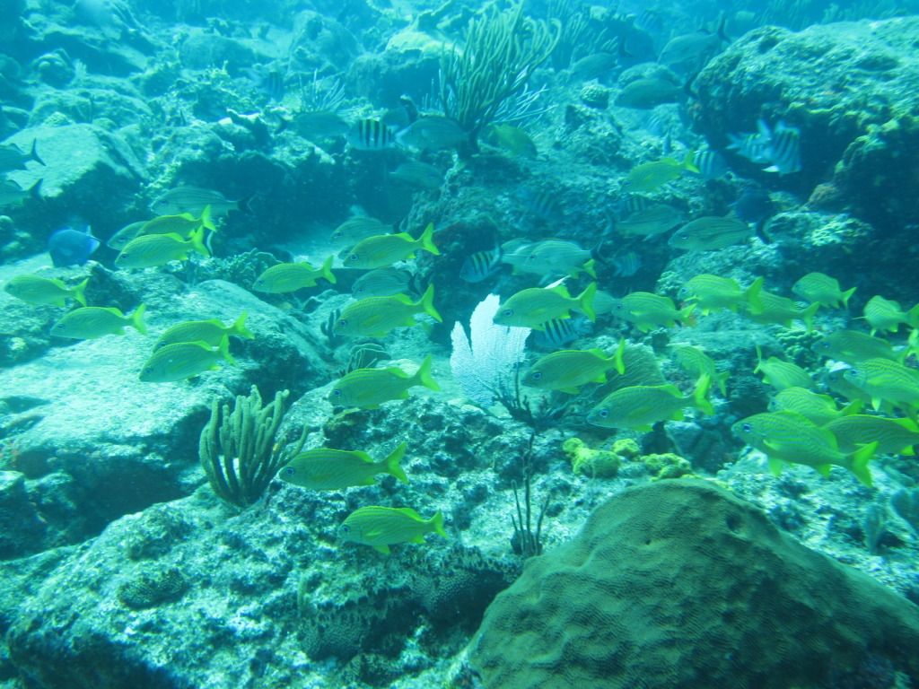 IMG_1779.jpg