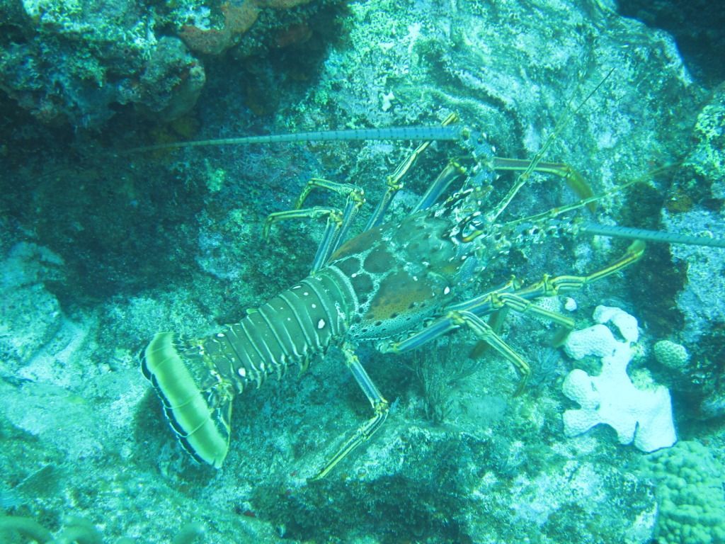 IMG_1804.jpg