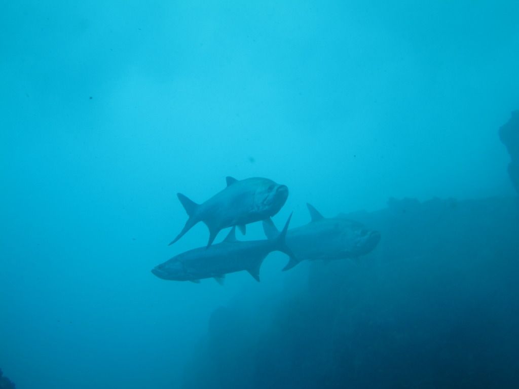 IMG_1844.jpg