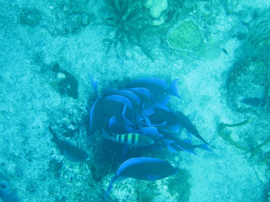 IMG_2118.jpg