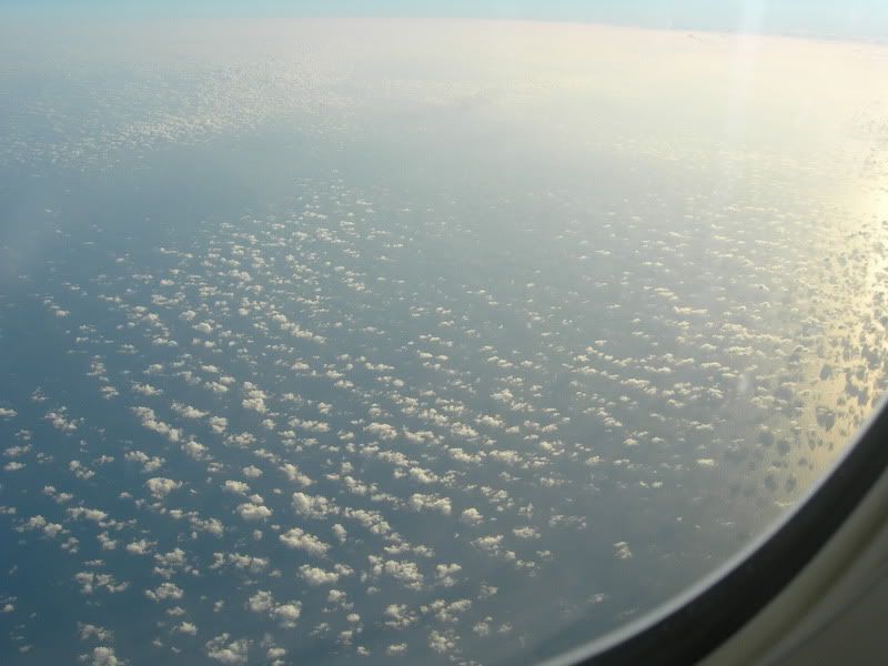 DSCN9645.jpg