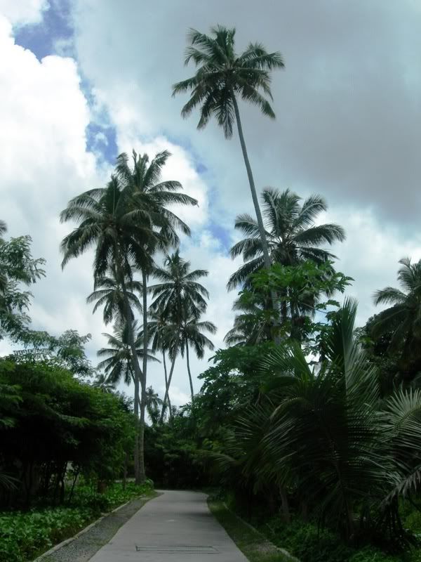 DSCN9710.jpg