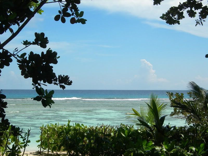 DSCN9814.jpg