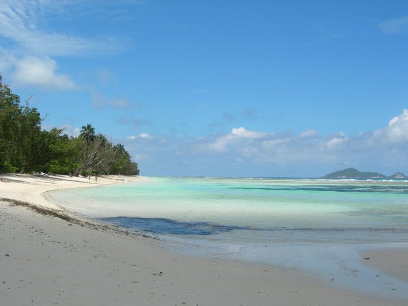 DSCN9885.jpg