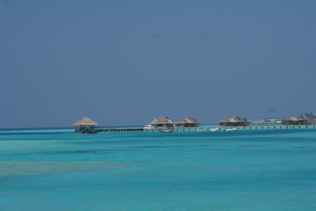 DSC08182.jpg