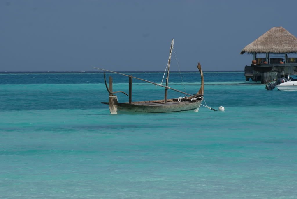 DSC08310.jpg