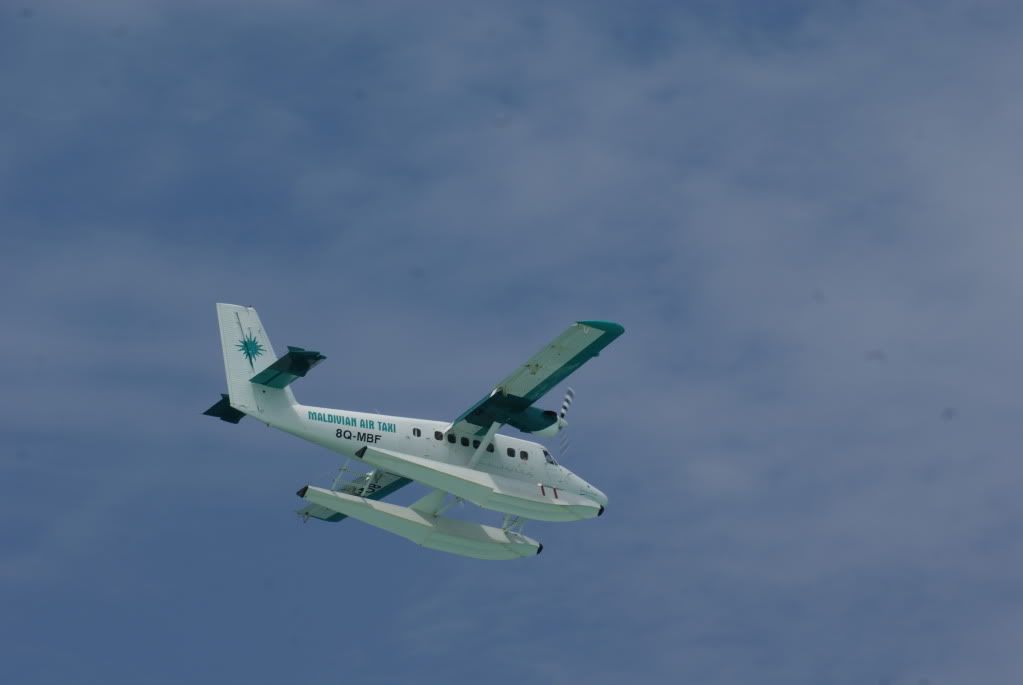 DSC08446.jpg