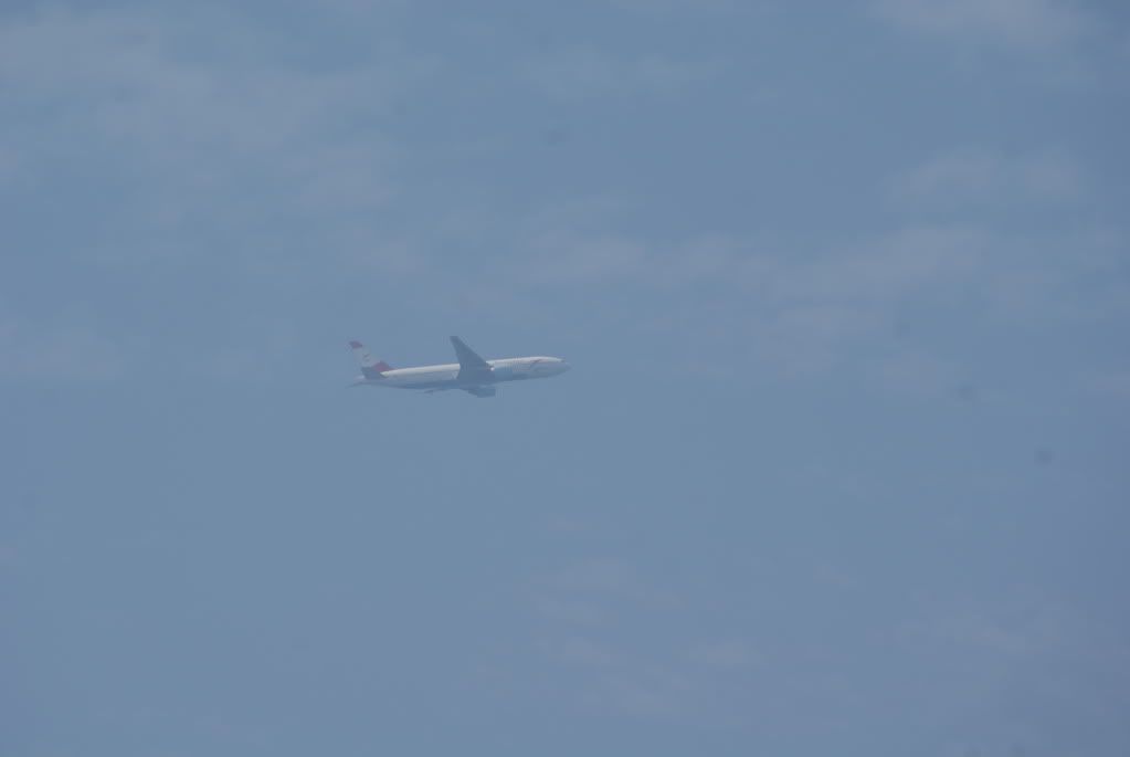 DSC08463.jpg
