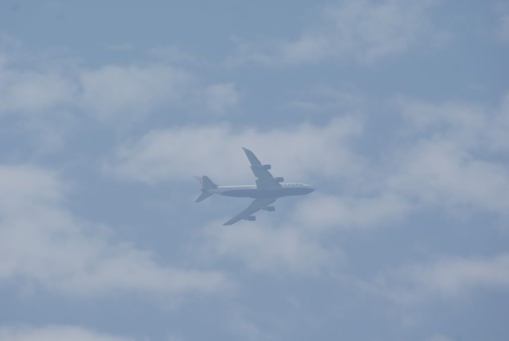 DSC08467.jpg
