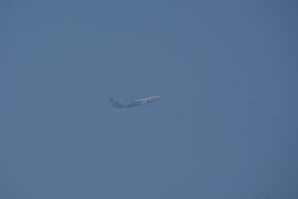 DSC08477.jpg